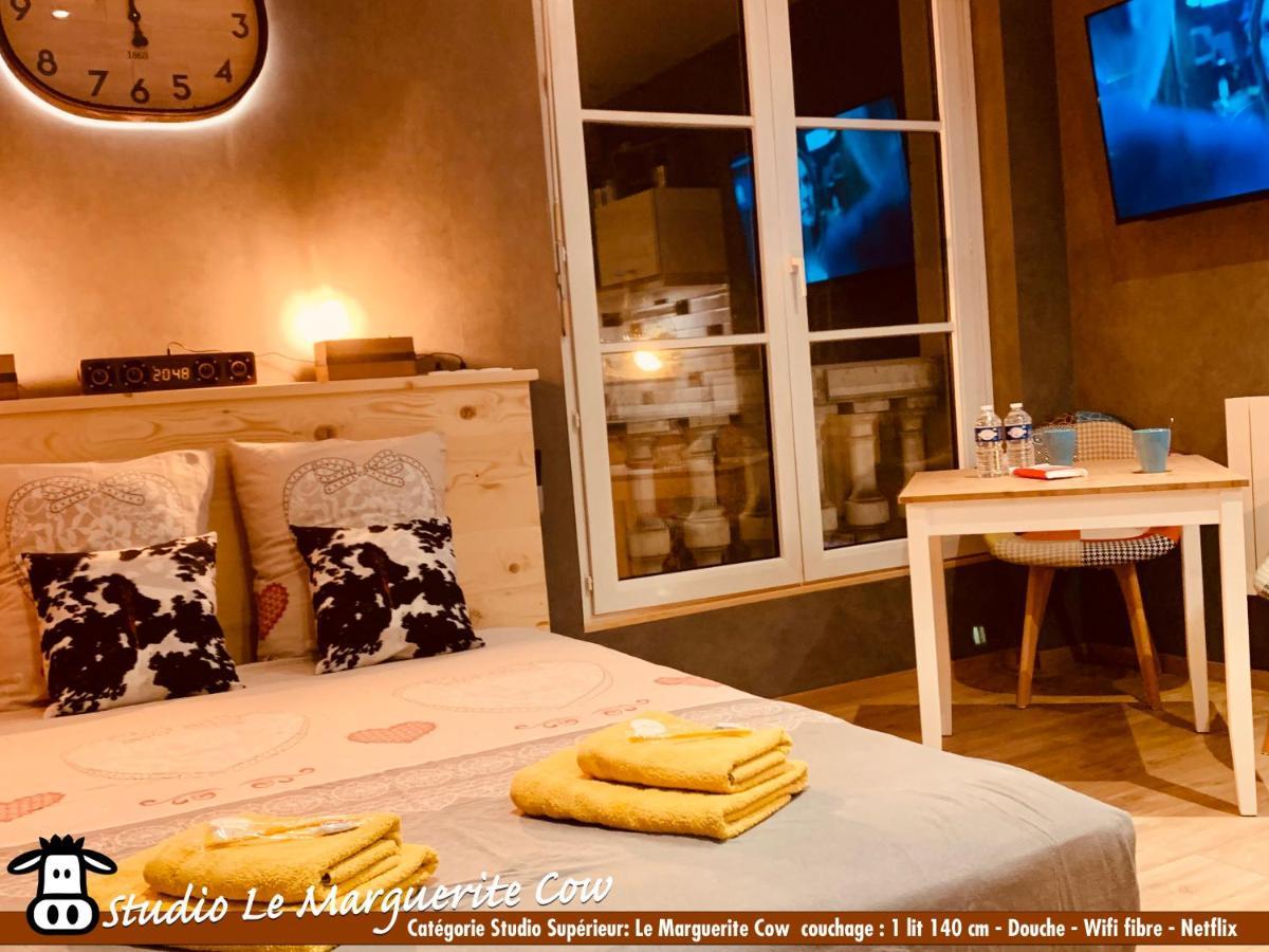 Nos Studios Au Centre Ville A Dole Exteriör bild